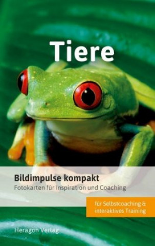 Játék Bildimpulse kompakt: Tiere Bodo Pack
