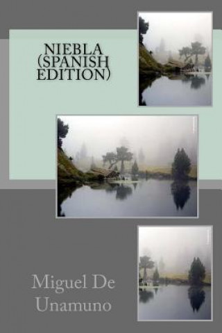 Könyv Niebla (Spanish Edition) Miguel de Unamuno