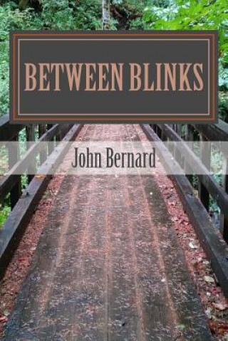 Kniha Between Blinks John Bernard