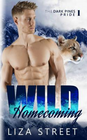 Buch Wild Homecoming Liza Street