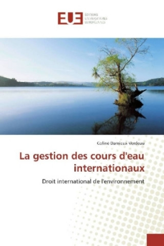 Kniha La gestion des cours d'eau internationaux Coline Damieux-Verdeau