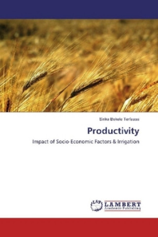 Knjiga Productivity Sirika Bekele Terfassa