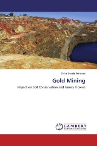 Knjiga Gold Mining Sirika Bekele Terfassa