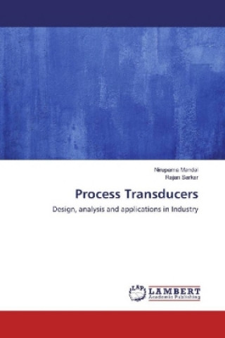 Knjiga Process Transducers Nirupama Mandal