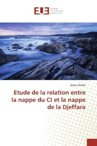 Kniha Etude de la relation entre la nappe du CI et la nappe de la Djeffara Emna Chidmi