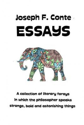 Knjiga Essays Joseph F Conte