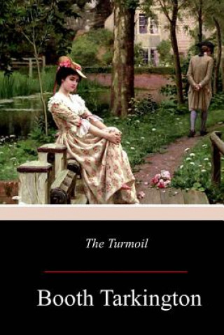 Libro The Turmoil Booth Tarkington