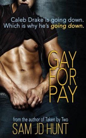 Könyv Gay for Pay Sam Jd Hunt
