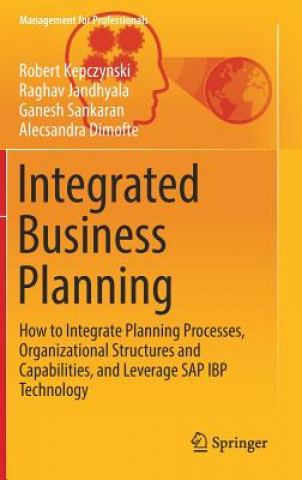 Kniha Integrated Business Planning Robert Kepczynski