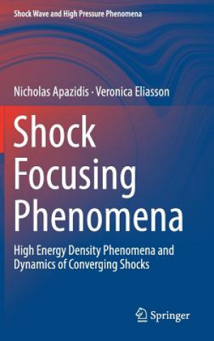 Livro Shock Focusing Phenomena Nicholas Apazidis