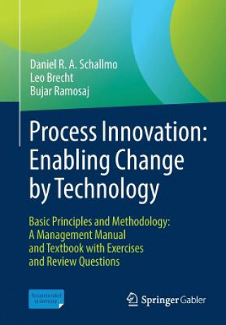 Книга Process Innovation: Enabling Change by Technology Schallmo