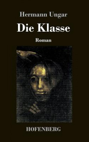 Kniha Die Klasse Hermann Ungar