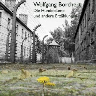 Audio Die Hundeblume Wolfgang Borchert
