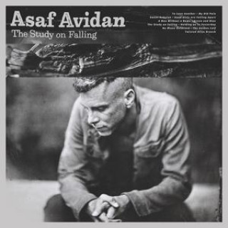 Audio The Study On Falling Asaf Avidan