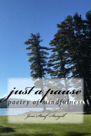 Knjiga Just a Pause: poetry of mindfulness Joni M Staaf Sturgill