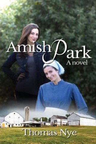 Buch Amish Park Thomas Nye