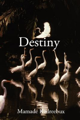 Libro Destiny Mr Mamade Kadreebux