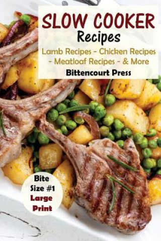 Könyv Slow Cooker Recipes - Bite Size #1 Bittencourt Press