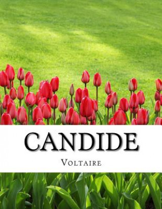 Knjiga Candide Voltaire