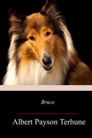 Buch Bruce Albert Payson Terhune