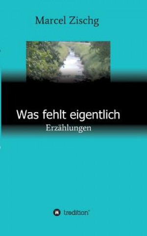 Knjiga Was fehlt eigentlich Marcel Zischg
