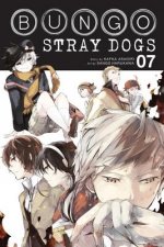 Kniha Bungo Stray Dogs, Vol. 7 Kafka Asagiri