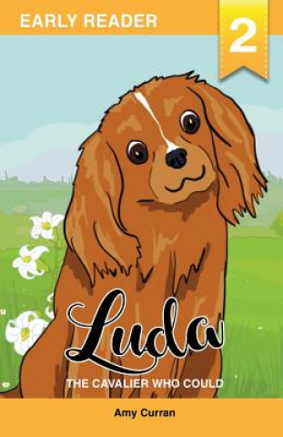 Kniha Luda the Cavalier who could AMY CURRAN