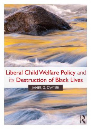 Kniha Liberal Child Welfare Policy and its Destruction of Black Lives DWYER