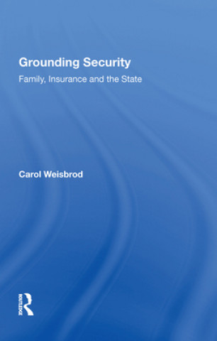 Knjiga Grounding Security WEISBROD