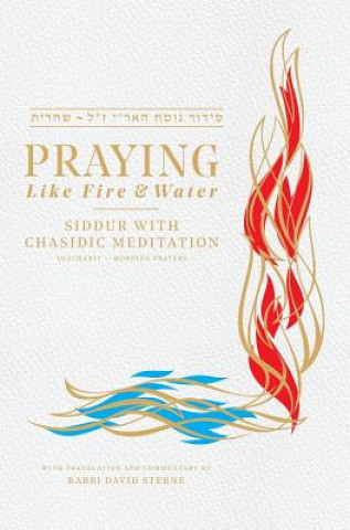 Könyv Praying like Fire and Water RABBI DAVID STERNE