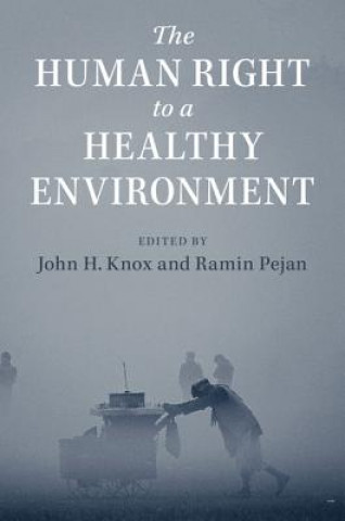 Kniha Human Right to a Healthy Environment John H. Knox