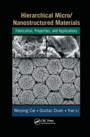 Libro Hierarchical Micro/Nanostructured Materials CAI