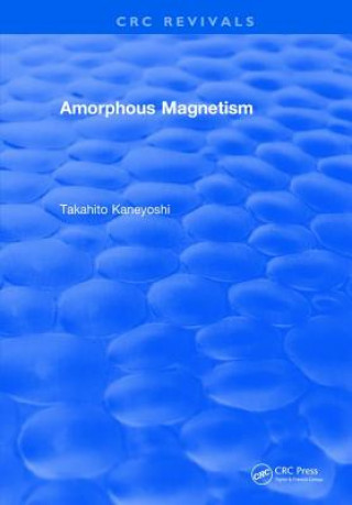 Book Amorphous Magnetism KANEYOSHI