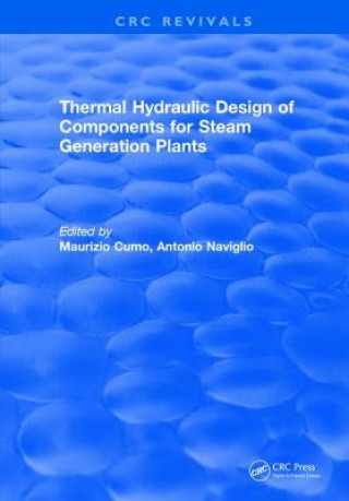 Könyv Thermal Hydraulic Design of Components for Steam Generation Plants CUMO