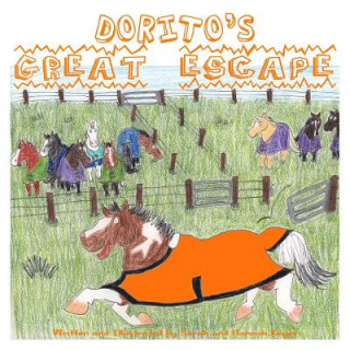 Carte Dorito's Great Escape SARAH KEYES