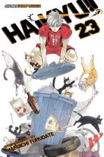 Könyv Haikyu!!, Vol. 23 Haruichi Furudate