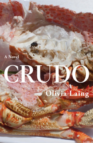 Knjiga Crudo LAING  OLIVIA