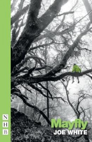 Book Mayfly Joe White