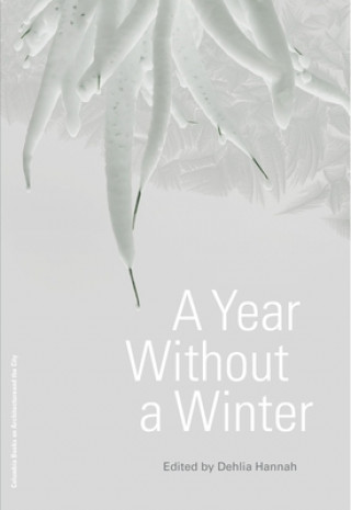 Książka Year Without a Winter Dehlia Hannah