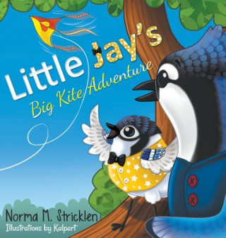 Carte Little Jay's Big Kite Adventure NORMA M. STRICKLEN