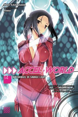 Książka Accel World, Vol. 14 (light novel) Reki Kawahara