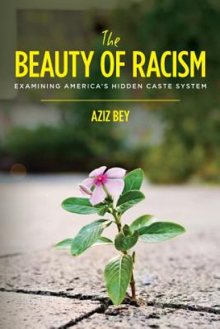 Kniha The Beauty of Racism: Examining America's Hidden Caste System Aziz Bey