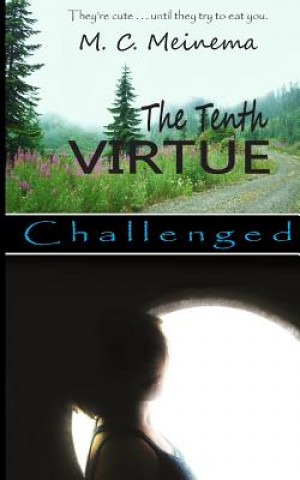 Kniha The Tenth Virtue: Challenged M C Meinema