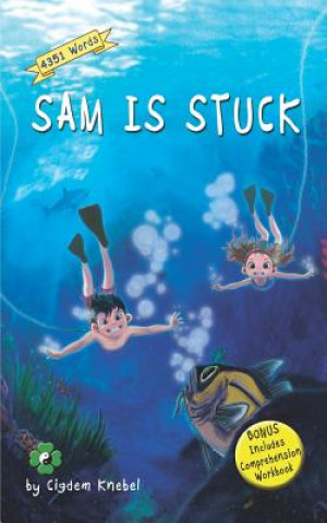 Knjiga Sam Is Stuck Cigdem Knebel