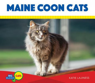 Carte Maine Coon Cats Katie Lajiness