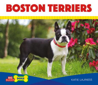 Carte Boston Terriers Katie Lajiness