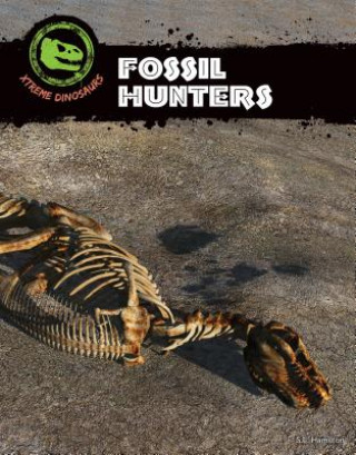 Kniha Fossil Hunters S L Hamilton