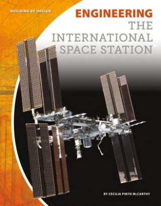 Libro Engineering the International Cecilia Pinto McCarthy