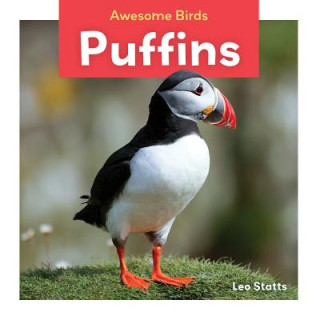 Buch Puffins Leo Statts