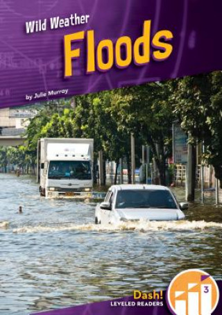 Libro Floods Julie Murray
